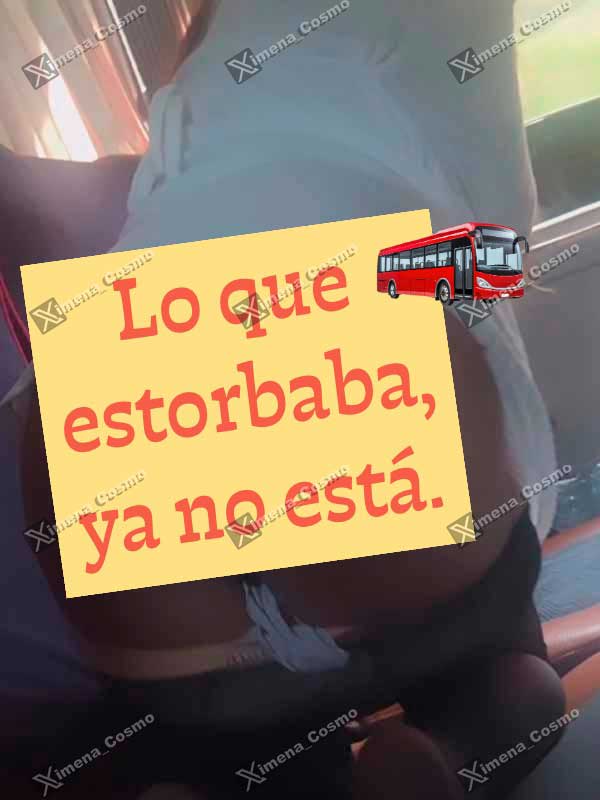 Miniatura 20